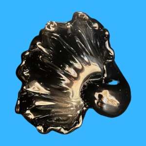 Elegant Seashell Jewelry Holder