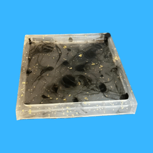 Square Multipurpose Holder