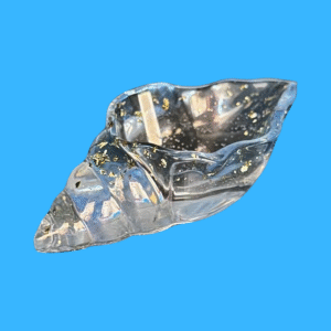 Decorative Seashell Holder